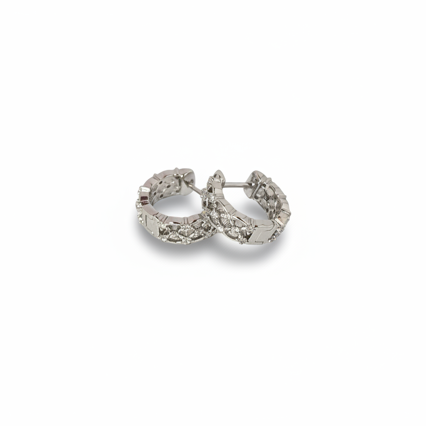 Dazzle Chic Earrings