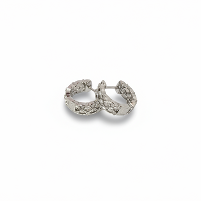 Dazzle Chic Earrings